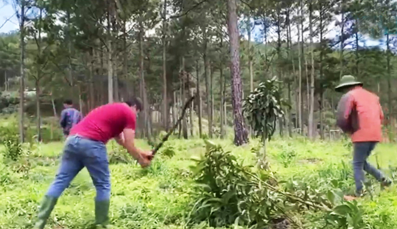 Lấn chiếm đất: Dân bị xử lý, cán bộ được bỏ qua? ảnh 2