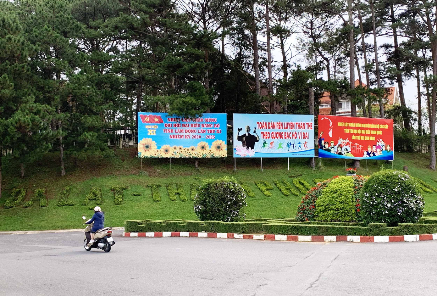 Thành phố hoa trang hoàng rực rỡ mừng Đại hội ảnh 3