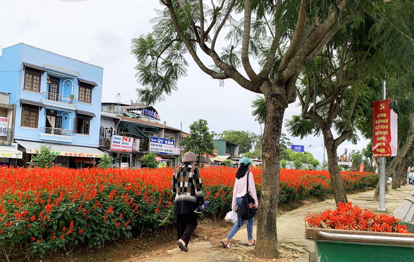 Thành phố hoa trang hoàng rực rỡ mừng Đại hội ảnh 1