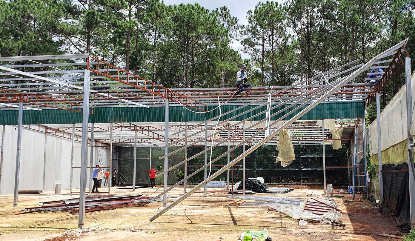 Ngang nhiên mở đường, dựng cả chục ngôi nhà trong rừng thông Đà Lạt ảnh 2