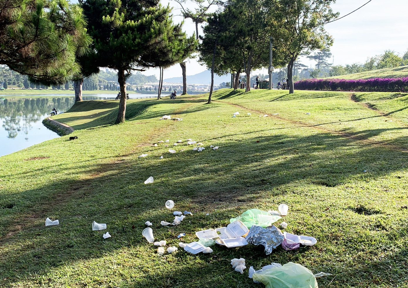 Đà Lạt đông nghẹt du khách, chen chân đi chơi như chưa từng có COVID-19 ảnh 4