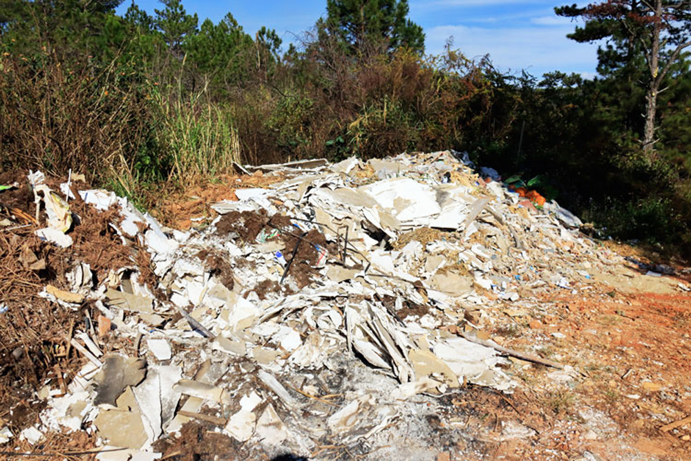 Ùn ùn tuồn rác thải vào rừng thông Đà Lạt ảnh 1