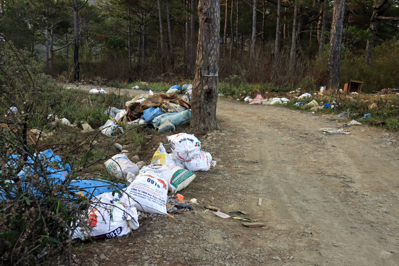 Ùn ùn tuồn rác thải vào rừng thông Đà Lạt ảnh 5