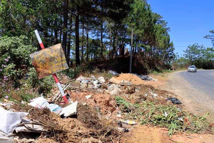 Ùn ùn tuồn rác thải vào rừng thông Đà Lạt ảnh 3