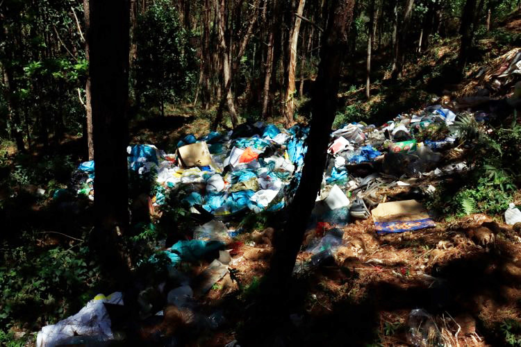 Ùn ùn tuồn rác thải vào rừng thông Đà Lạt ảnh 2