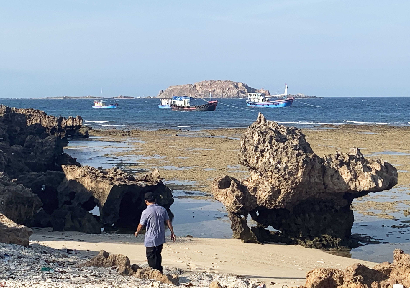 Kỳ thú rạn san hô cổ hóa thạch trên cạn ảnh 1