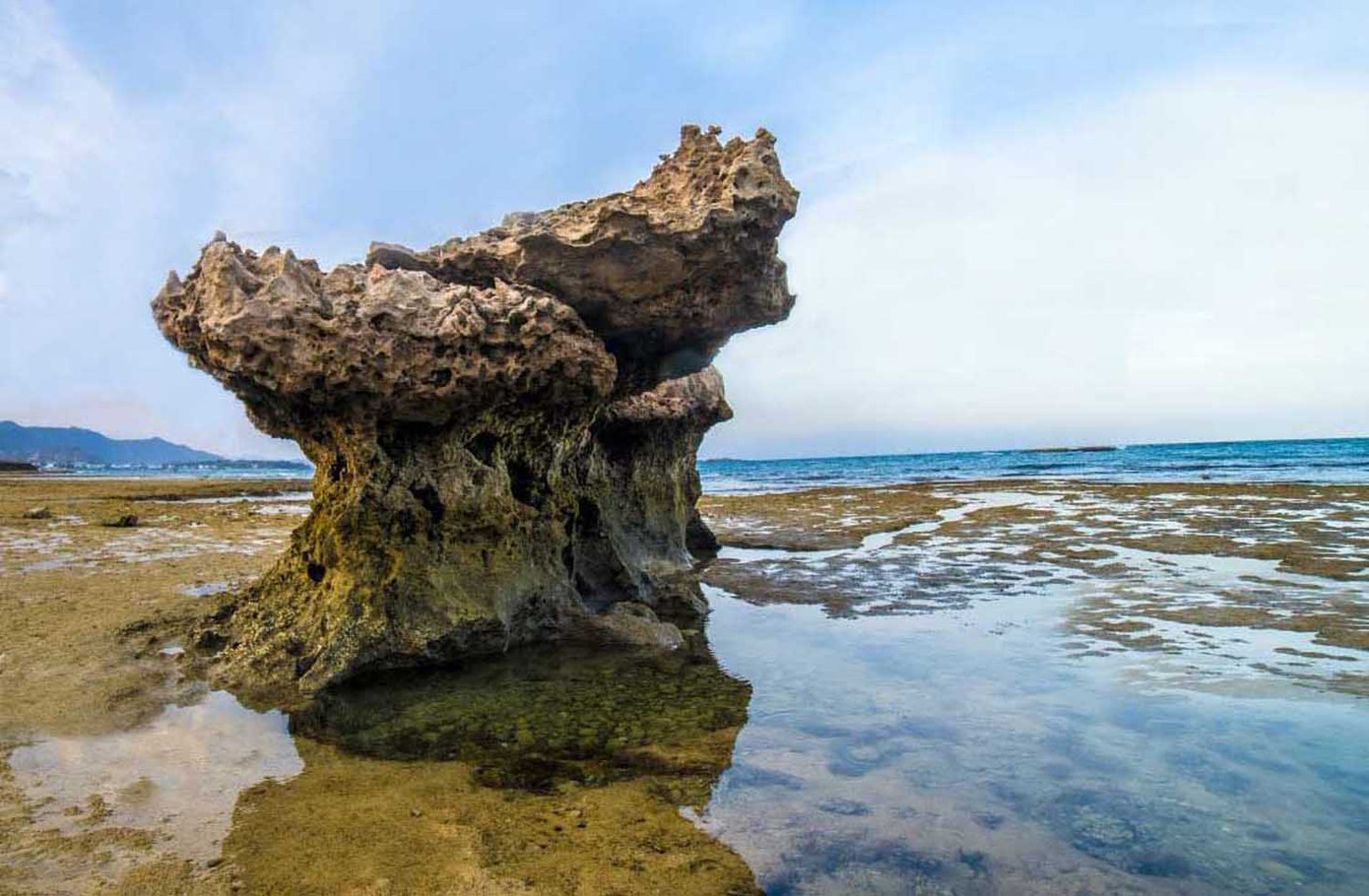 Kỳ thú rạn san hô cổ hóa thạch trên cạn ảnh 2