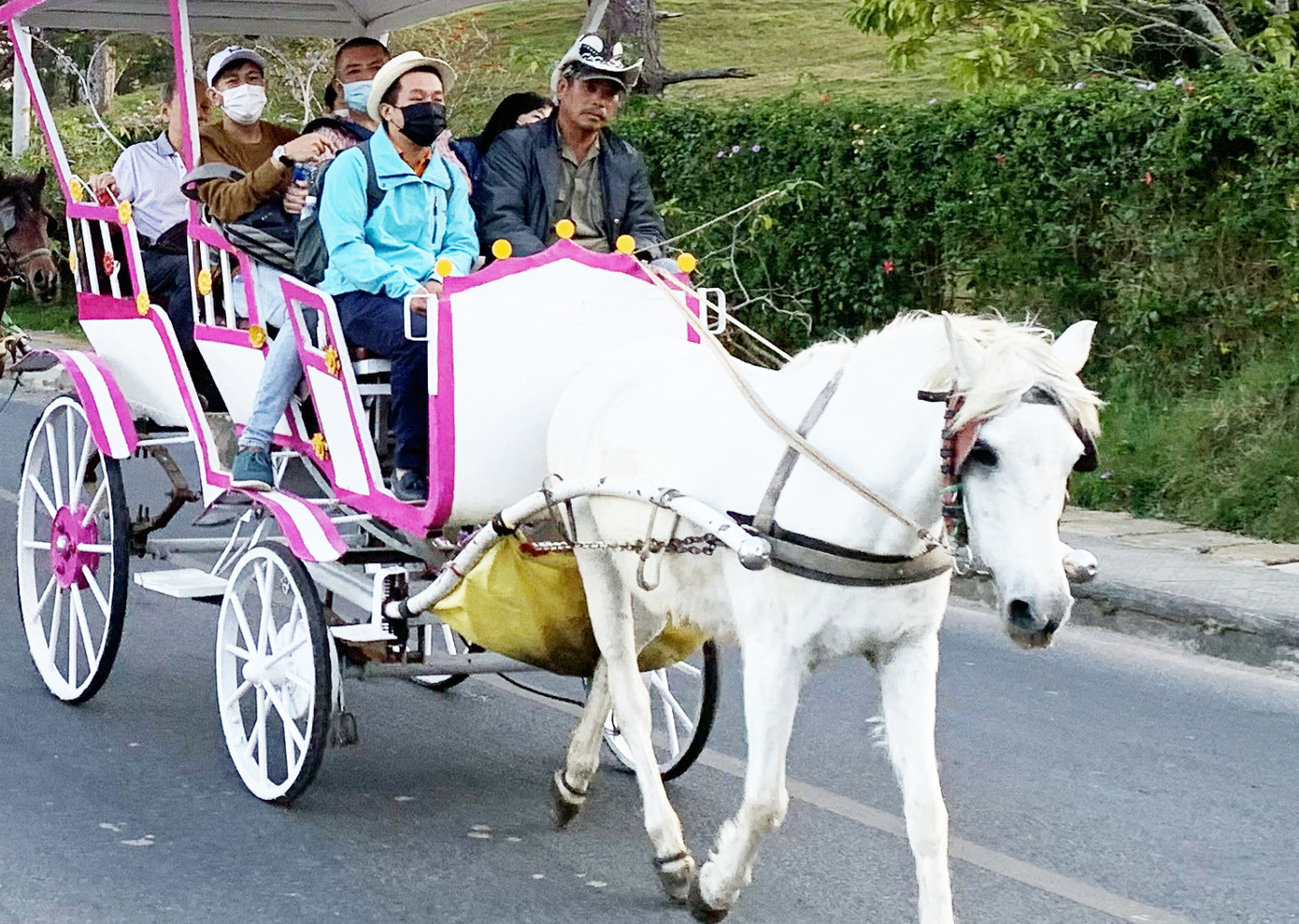 Đà Lạt: Nhìn đâu cũng thấy dân đeo khẩu trang ảnh 2
