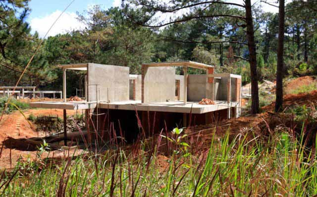 Đình chỉ dự án nghỉ dưỡng cao cấp xâm hại rừng phòng hộ ảnh 2