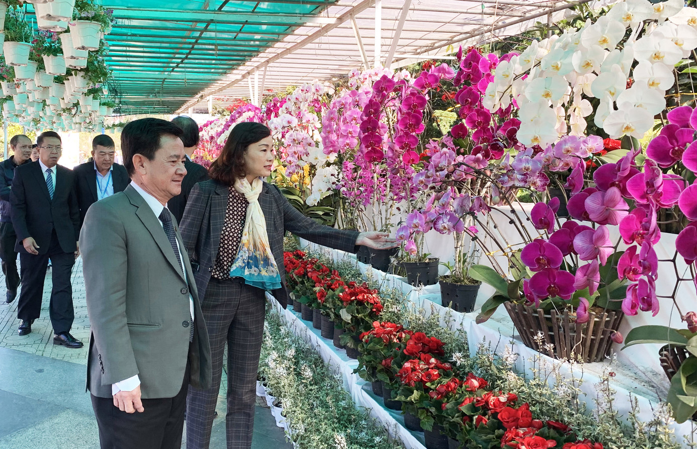 Muôn hoa khoe sắc rực rỡ tại Hội hoa xuân Đà Lạt ảnh 1