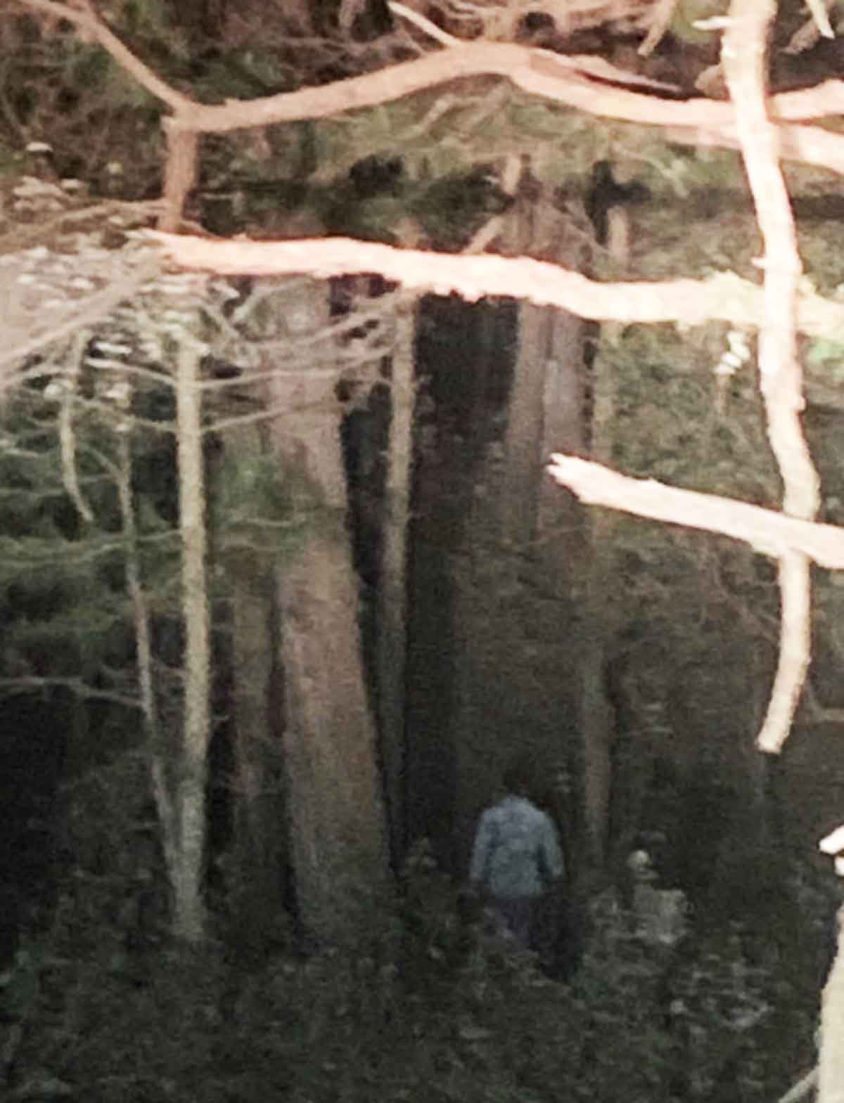 Tìm thấy 2 nữ du khách nước ngoài bị lạc khi leo núi Lang Biang ảnh 1