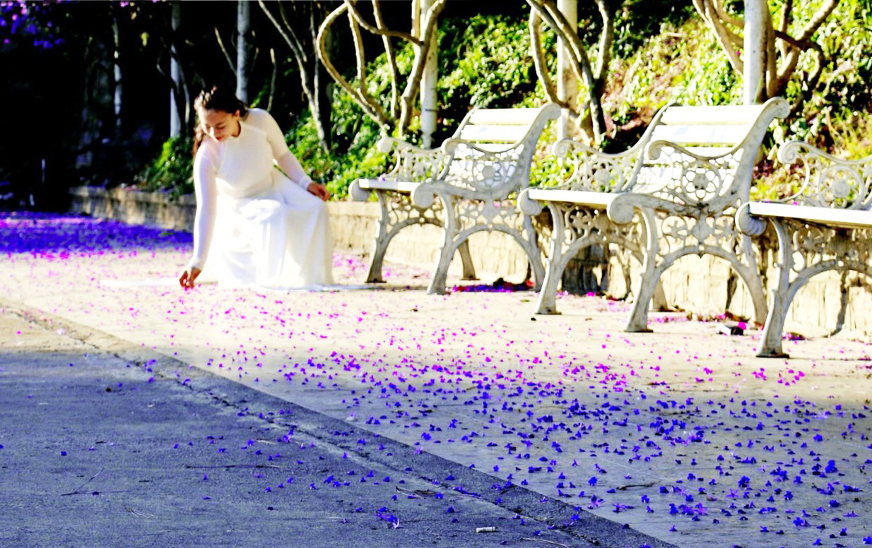 Bất ngờ phượng tím bung nở ở Đà Lạt đúng dịp Tết ảnh 5