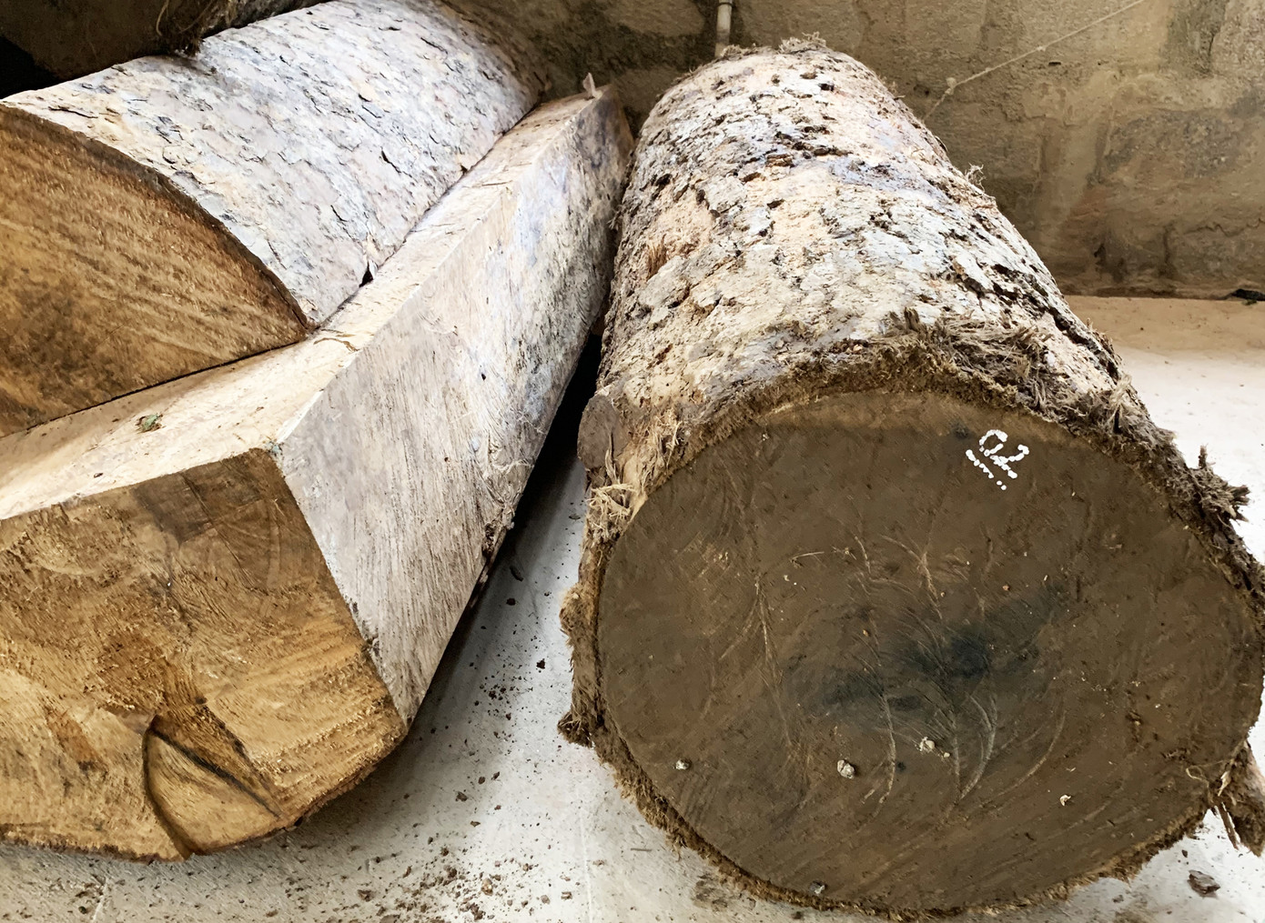 Cuộc rượt đuổi quyết liệt truy bắt xe chở gỗ lậu ở Cổng trời ảnh 2