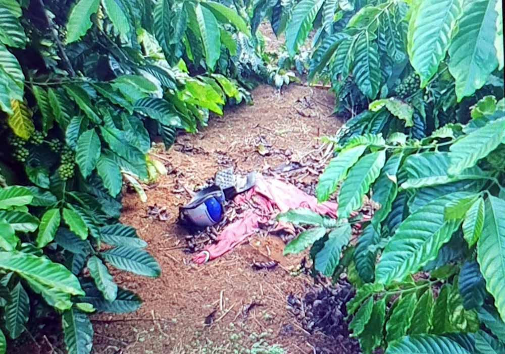 Tử hình kẻ giết ‘người tình’ trong vườn cà phê, cướp tài sản ảnh 1