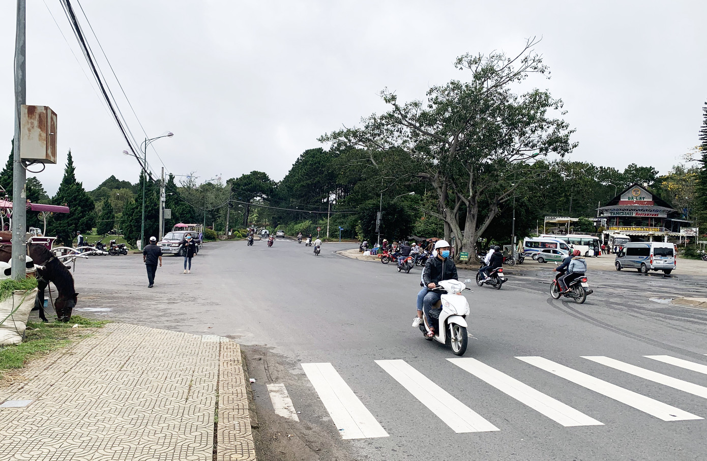 Đà Lạt vắng chưa từng có dịp lễ 2/9 ảnh 2