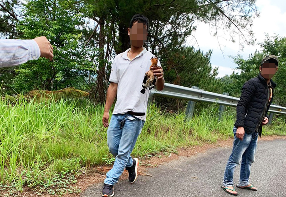 Bắn cặp chim đầu rìu tuyệt đẹp, cư dân mạng lên án báo công an ảnh 1