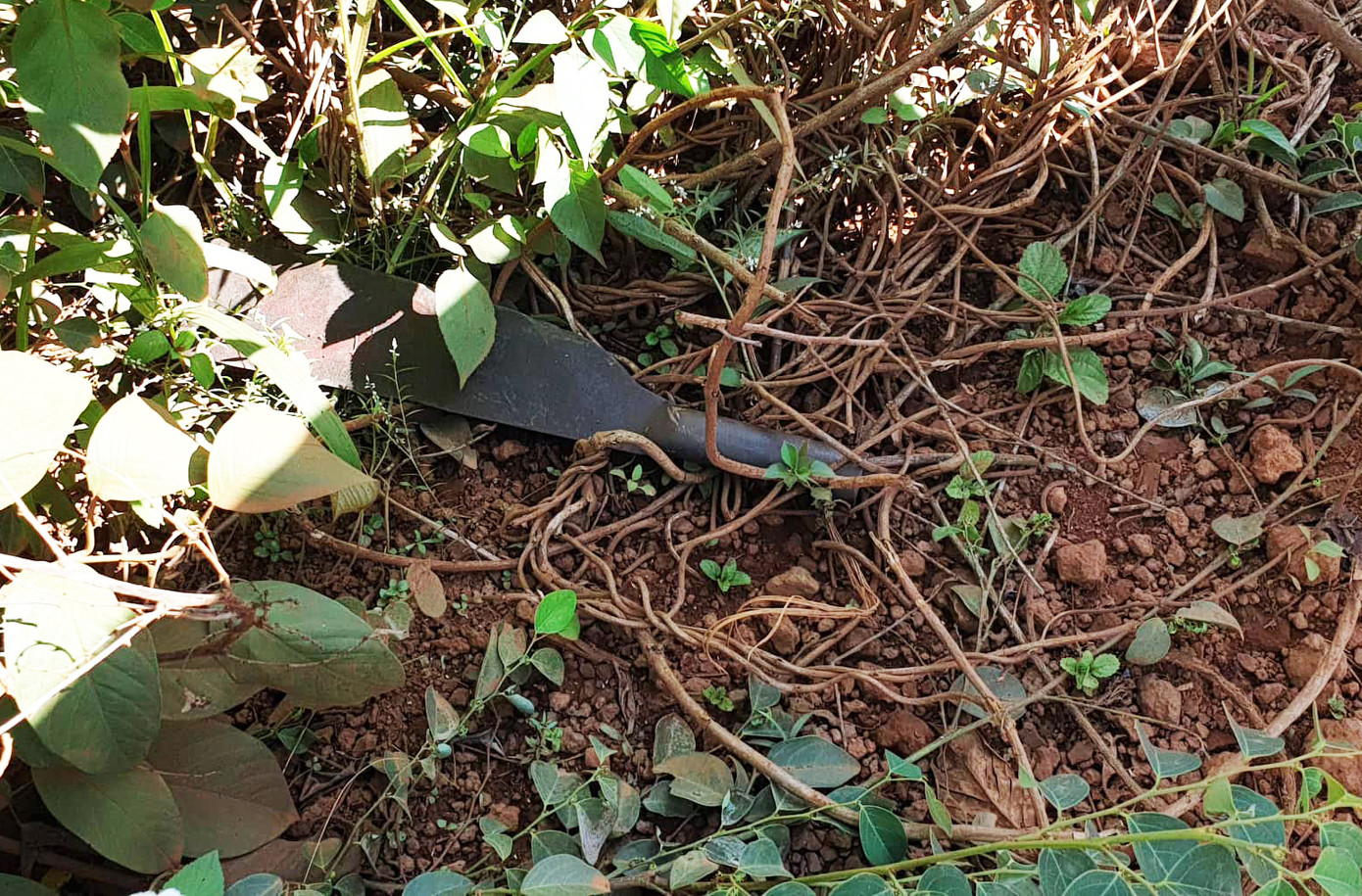 Hỗn chiến trong vườn cà phê ở Lâm Đồng, 4 người thương vong ảnh 2