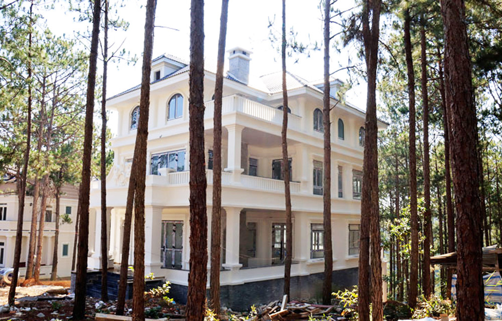 Đập 3 biệt thự không phép của doanh nghiệp phá rừng ảnh 1