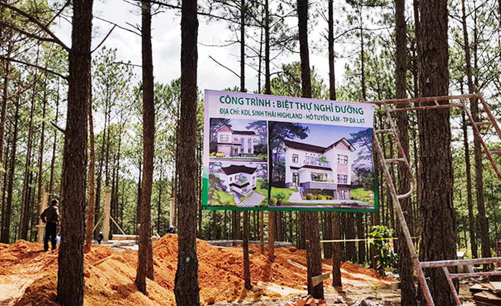 Đập 3 biệt thự không phép của doanh nghiệp phá rừng ảnh 3