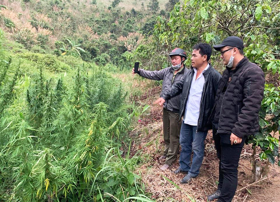 Liên tiếp các vụ mở 'tiệc ma túy' ở Lâm Đồng ảnh 2