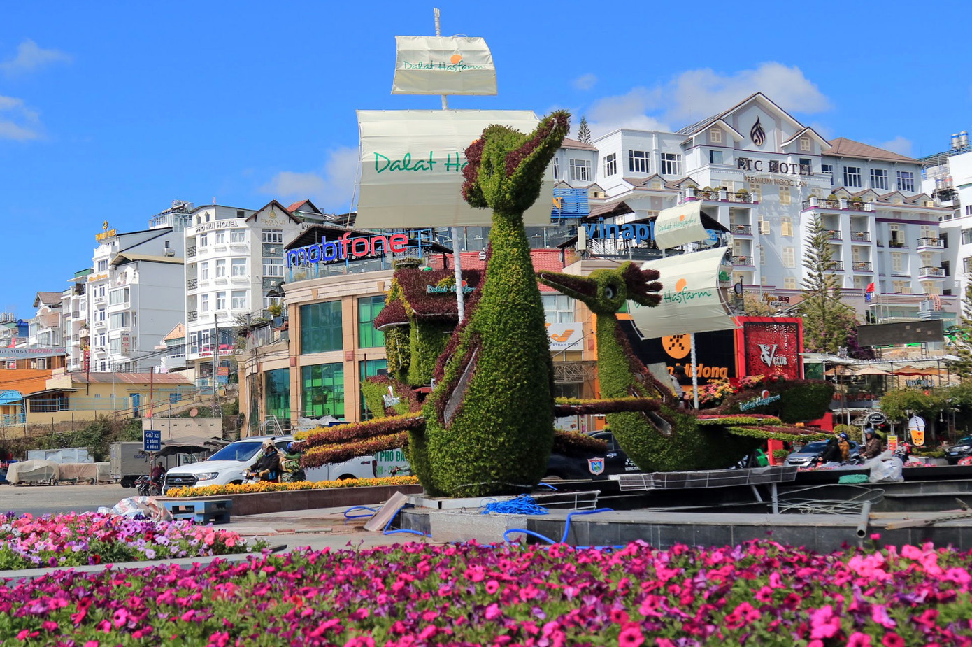 Trích xuất camera truy tìm kẻ trộm tiểu cảnh hoa của Festival ảnh 1