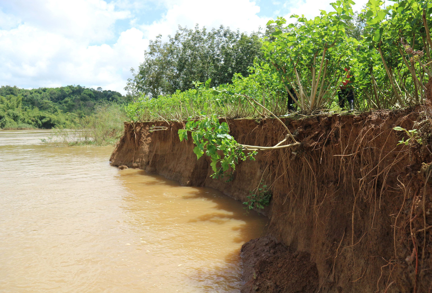 Tịch thu 2 chiếc tàu từ Bình Phước sang Lâm Đồng hút cát lậu ảnh 1