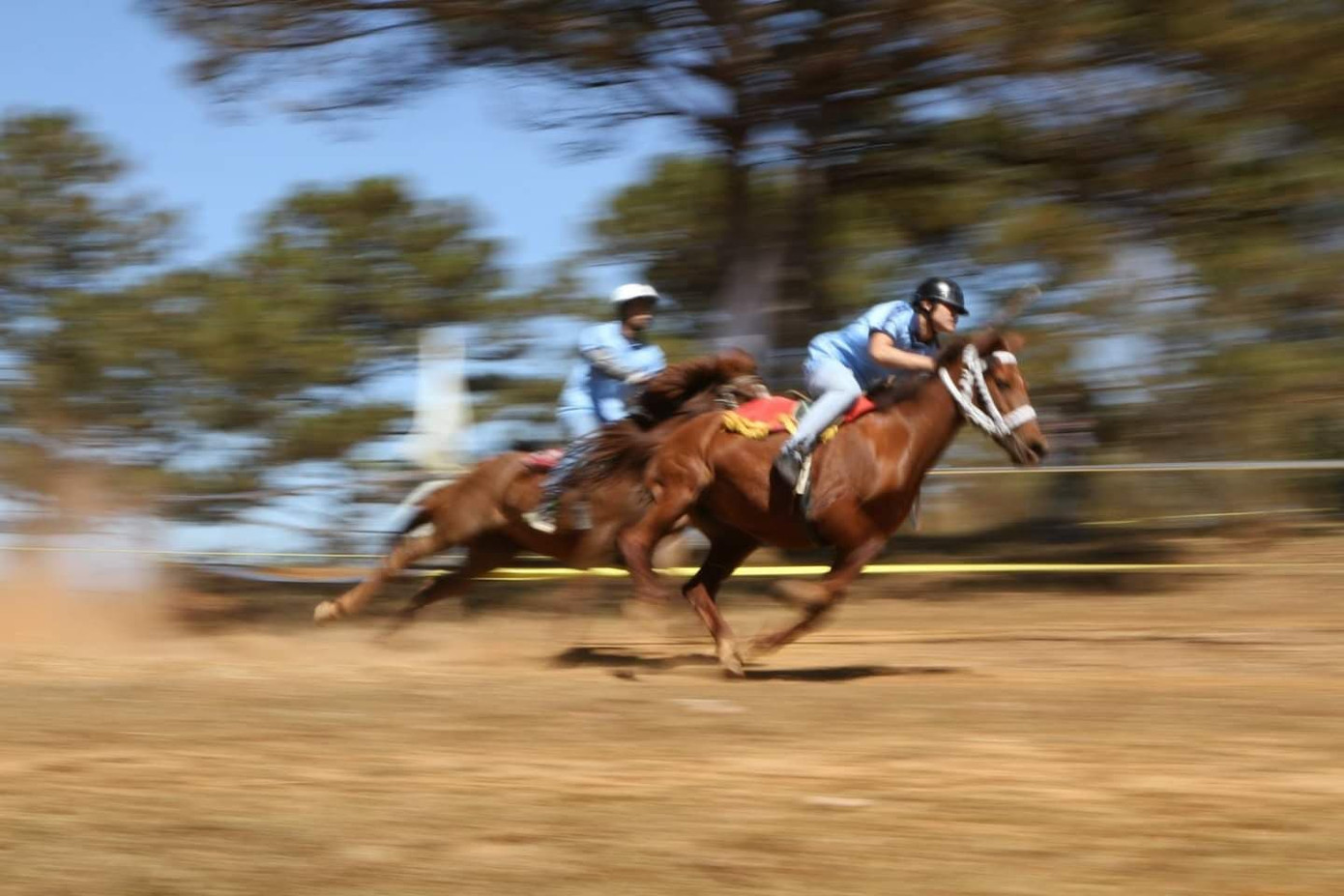 Săn ảnh mùa cỏ hồng Lang Biang – Đà Lạt ảnh 1