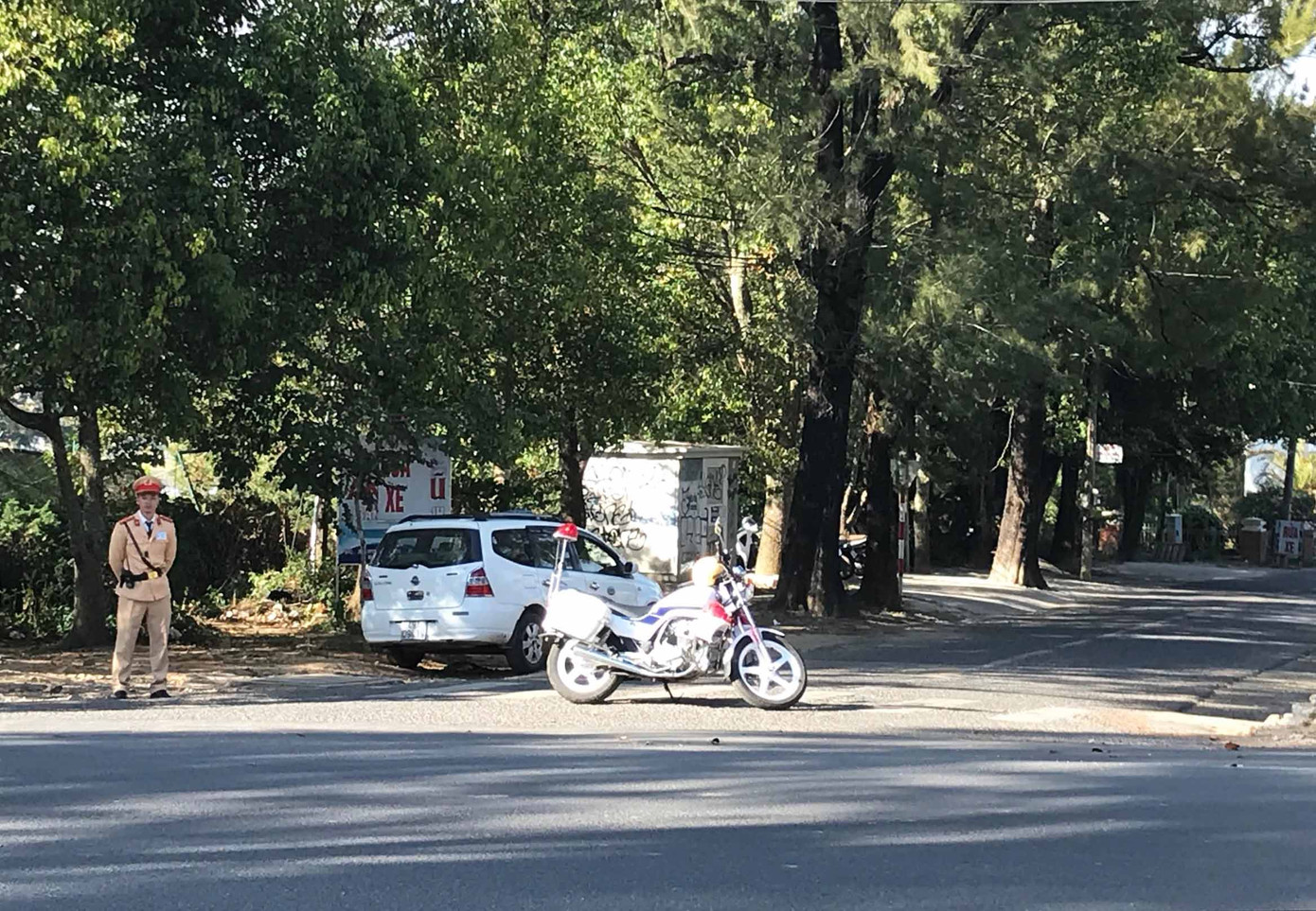 Đà Lạt cấm xe trên nhiều tuyến đường dịp Festival hoa 2019 ảnh 2