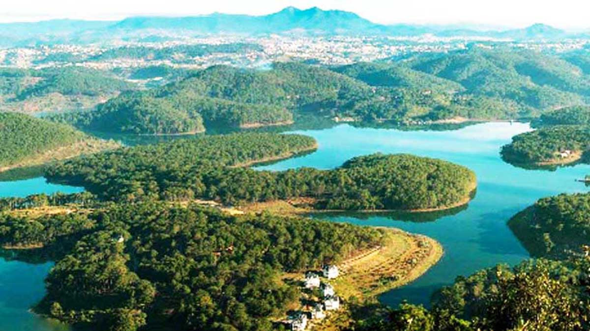 Cao nguyên Lang Biang Lâm Đồng cho đấu giá thuê rừng để làm du lịch sinh thái ảnh 2