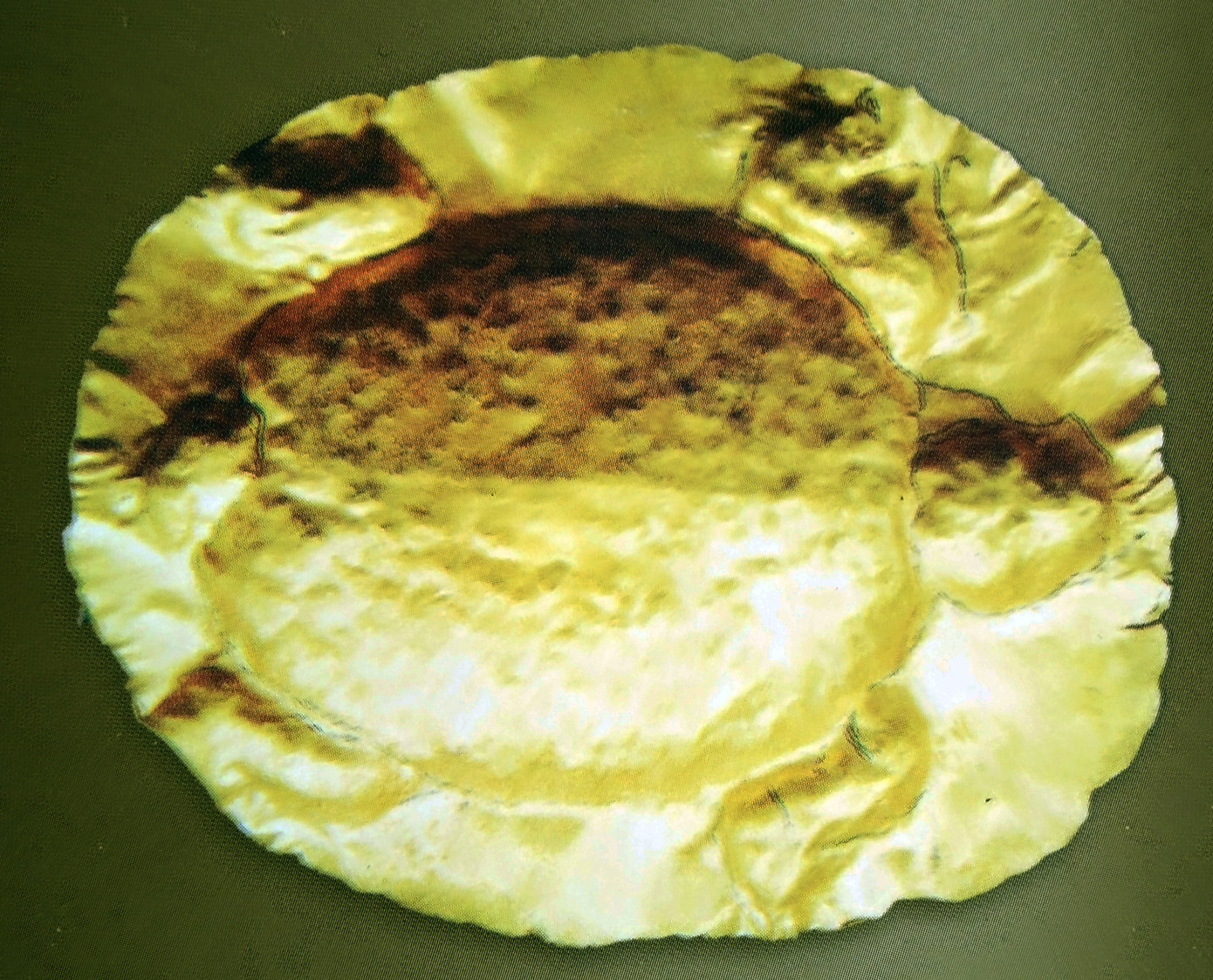 Chuyện lạ về kho báu 'vàng ròng' Cát Tiên ảnh 3