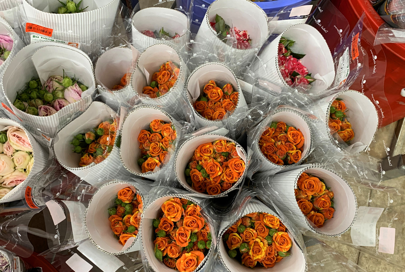 Giá hoa hồng Đà Lạt tăng vọt dịp 8/3 ảnh 4