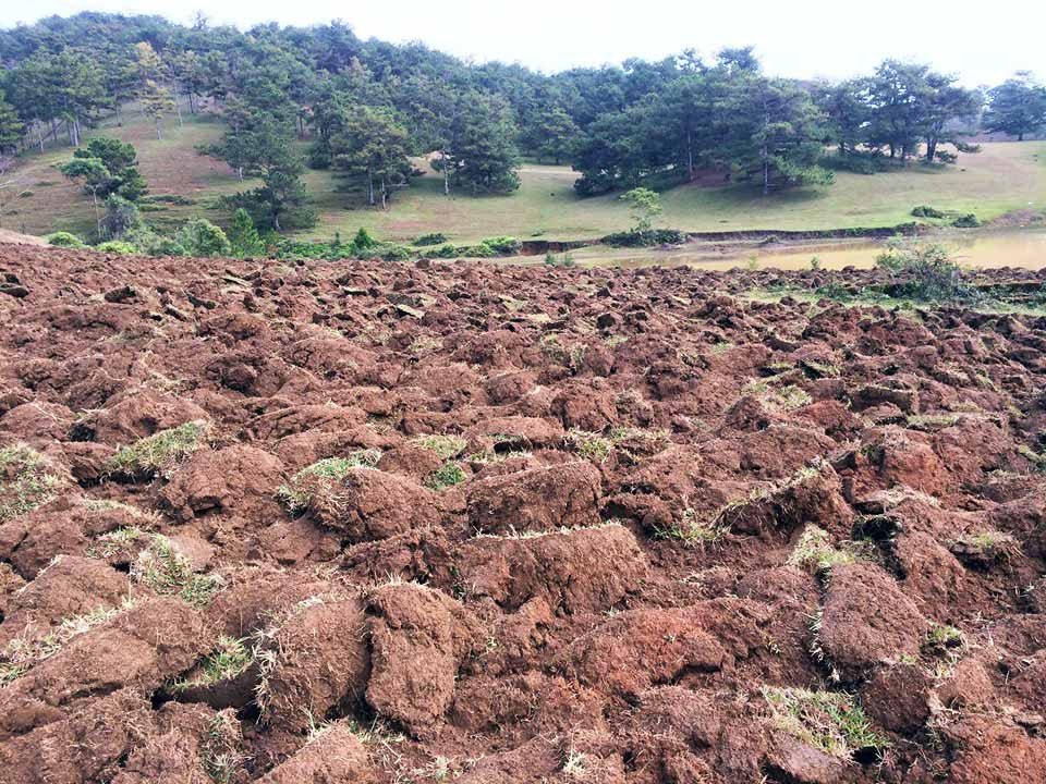 Dựng chuyện làm 'phim trường' để lấn chiếm đất Vườn quốc gia? ảnh 1