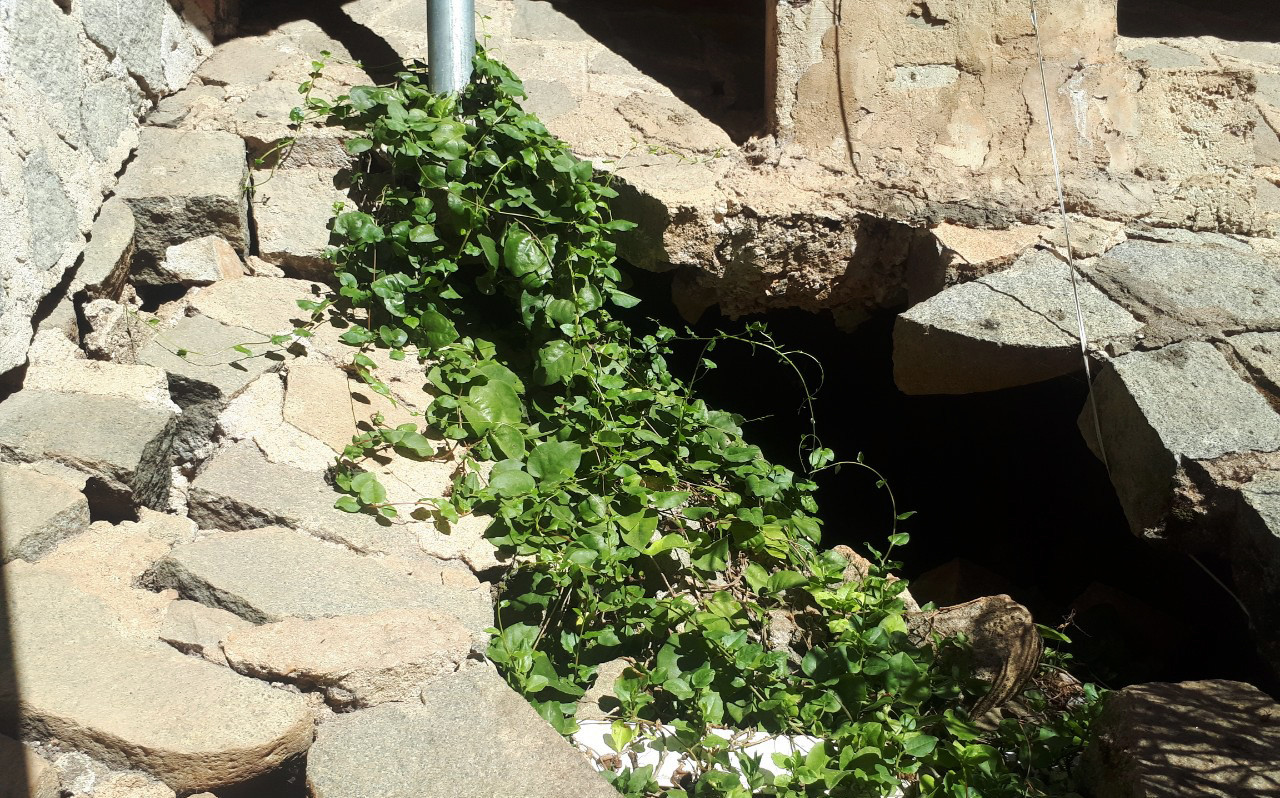 Di dời khẩn cấp 4 hộ dân bên chợ Đà Lạt do sạt lở đất ảnh 3