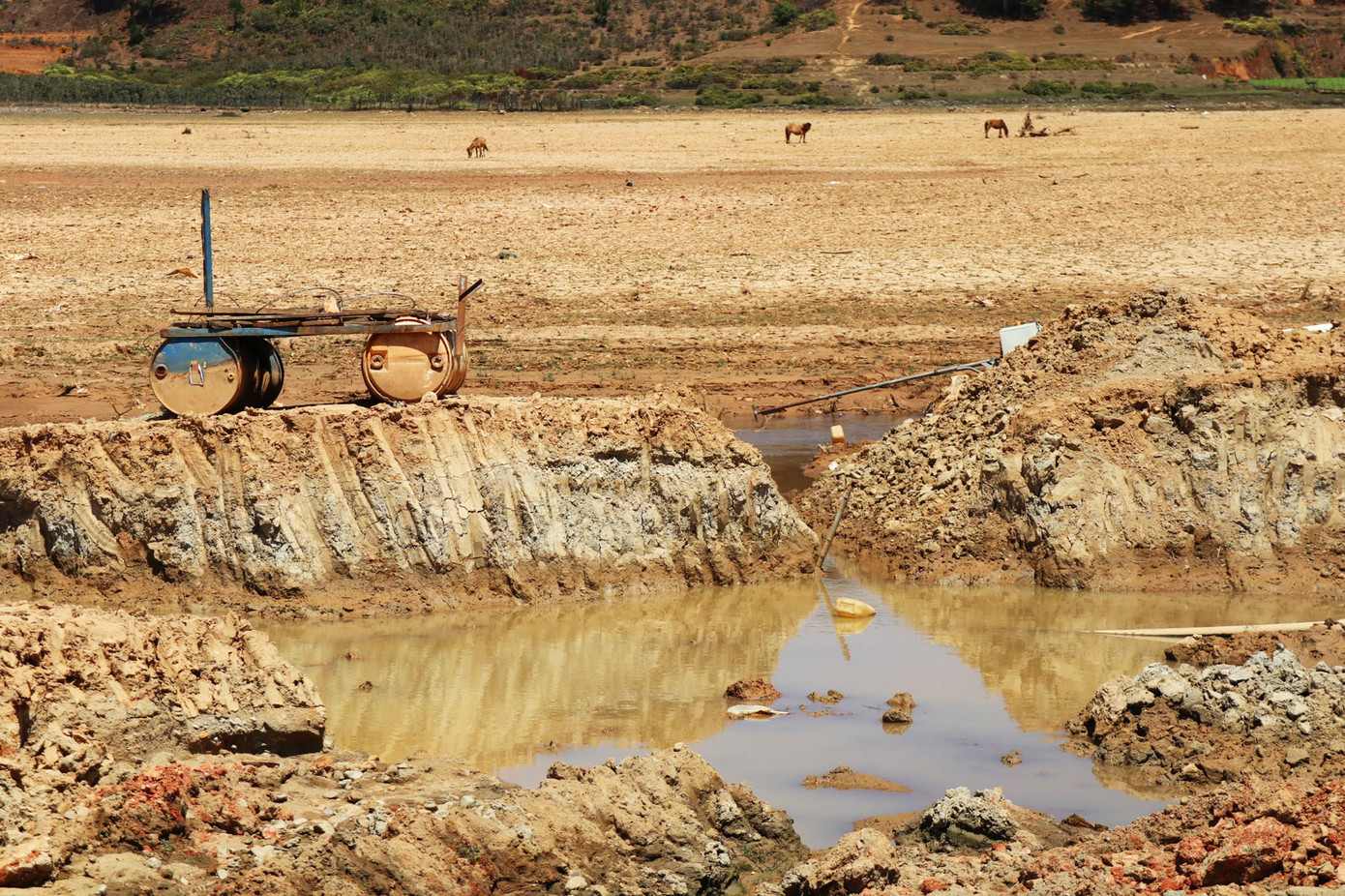 Hạn khốc liệt, hồ chứa nước sinh hoạt thành phố Đà Lạt trơ đáy ảnh 5