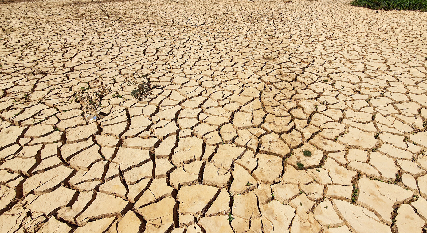 Hạn khốc liệt, hồ chứa nước sinh hoạt thành phố Đà Lạt trơ đáy ảnh 1