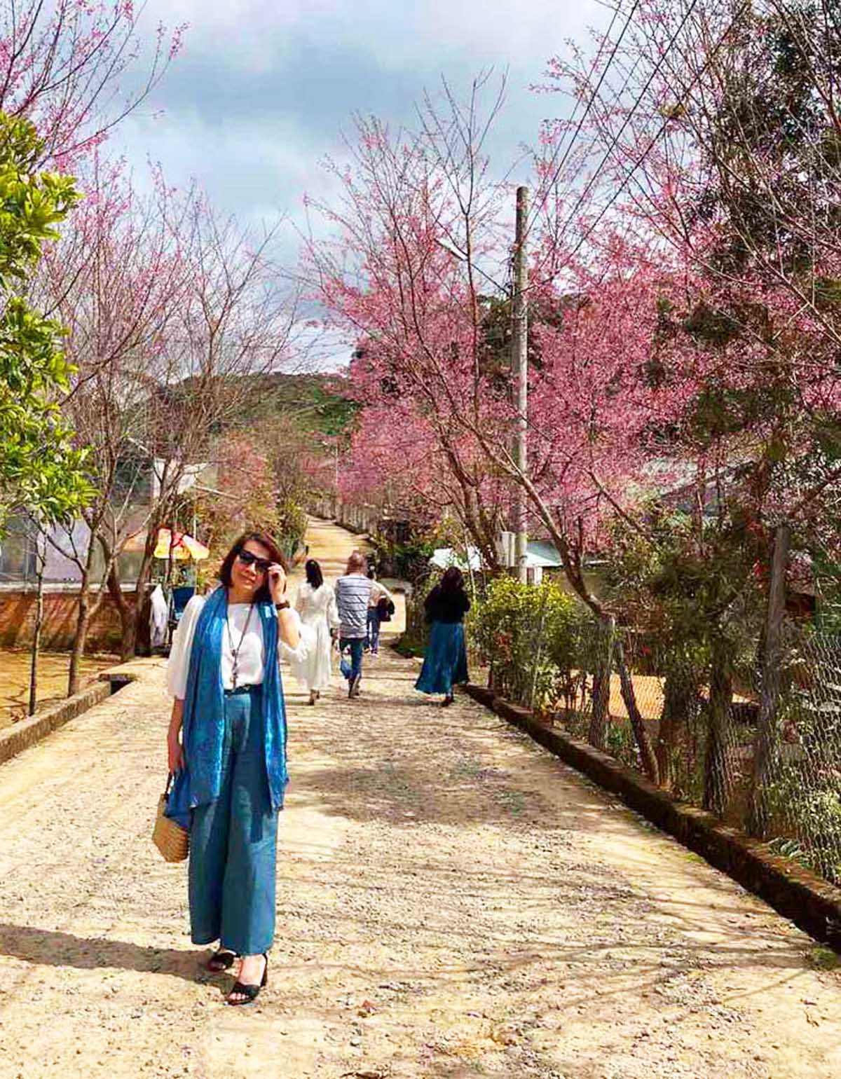 Giới trẻ 'săn' hoa mai anh đào bung nở trên núi ở Đà Lạt ảnh 3