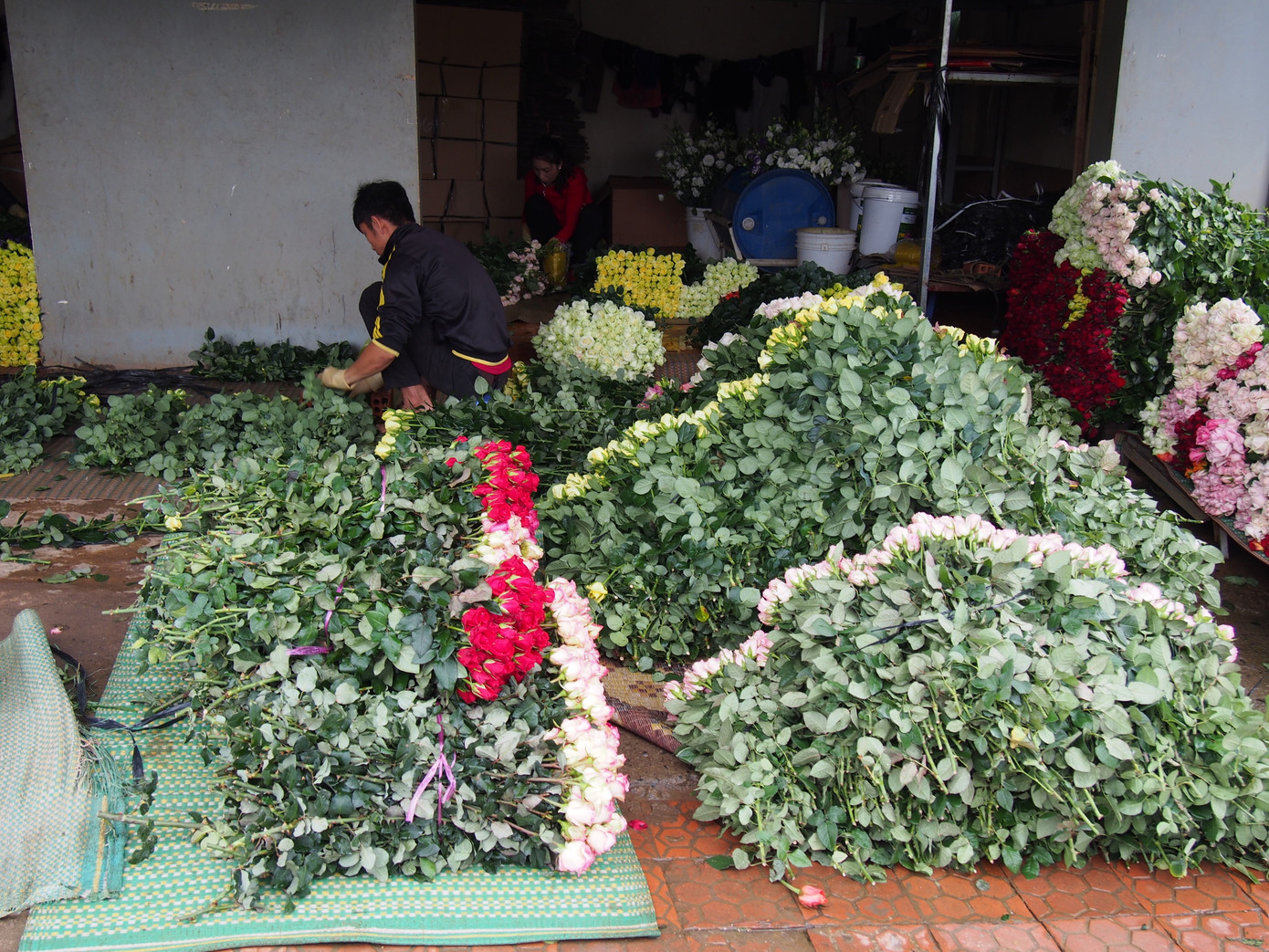 Giá hoa hồng Đà Lạt giảm sốc mùa Valentine ảnh 2