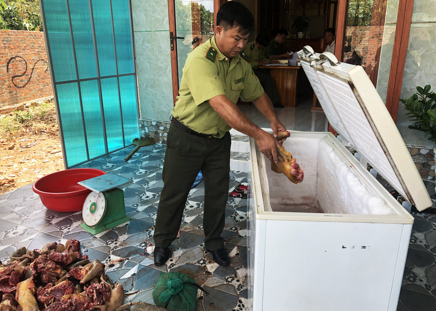 Choáng với 2 ổ nuôi nhốt, cấp đông động vật quý hiếm ở Lâm Đồng ảnh 3