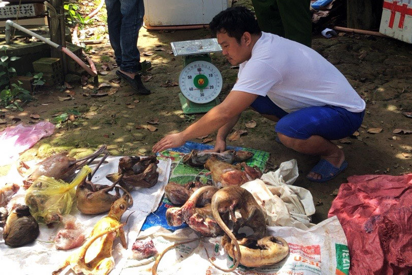 Choáng với 2 ổ nuôi nhốt, cấp đông động vật quý hiếm ở Lâm Đồng ảnh 4