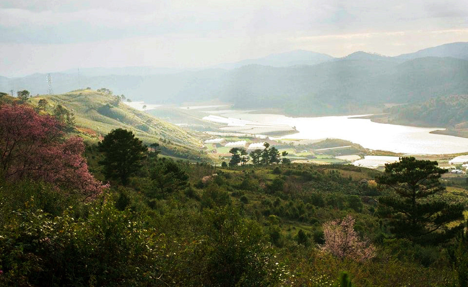 Lâm Đồng: Hầu hết các công trình trọng điểm dang dở, ‘nằm trên giấy’ ảnh 1