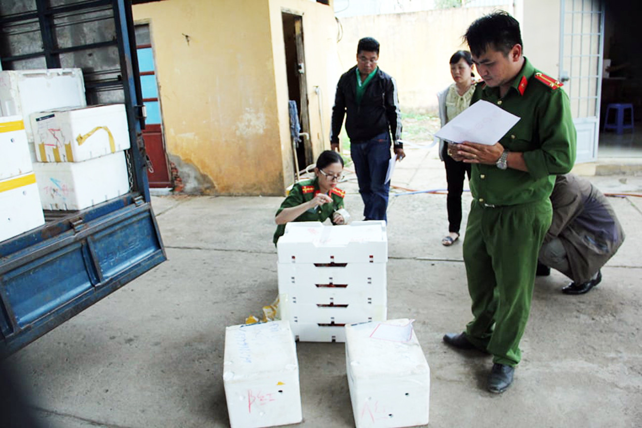 Tuồn nhiều tấn dâu tây nghi xuất xứ Trung Quốc vào Đà Lạt ảnh 1