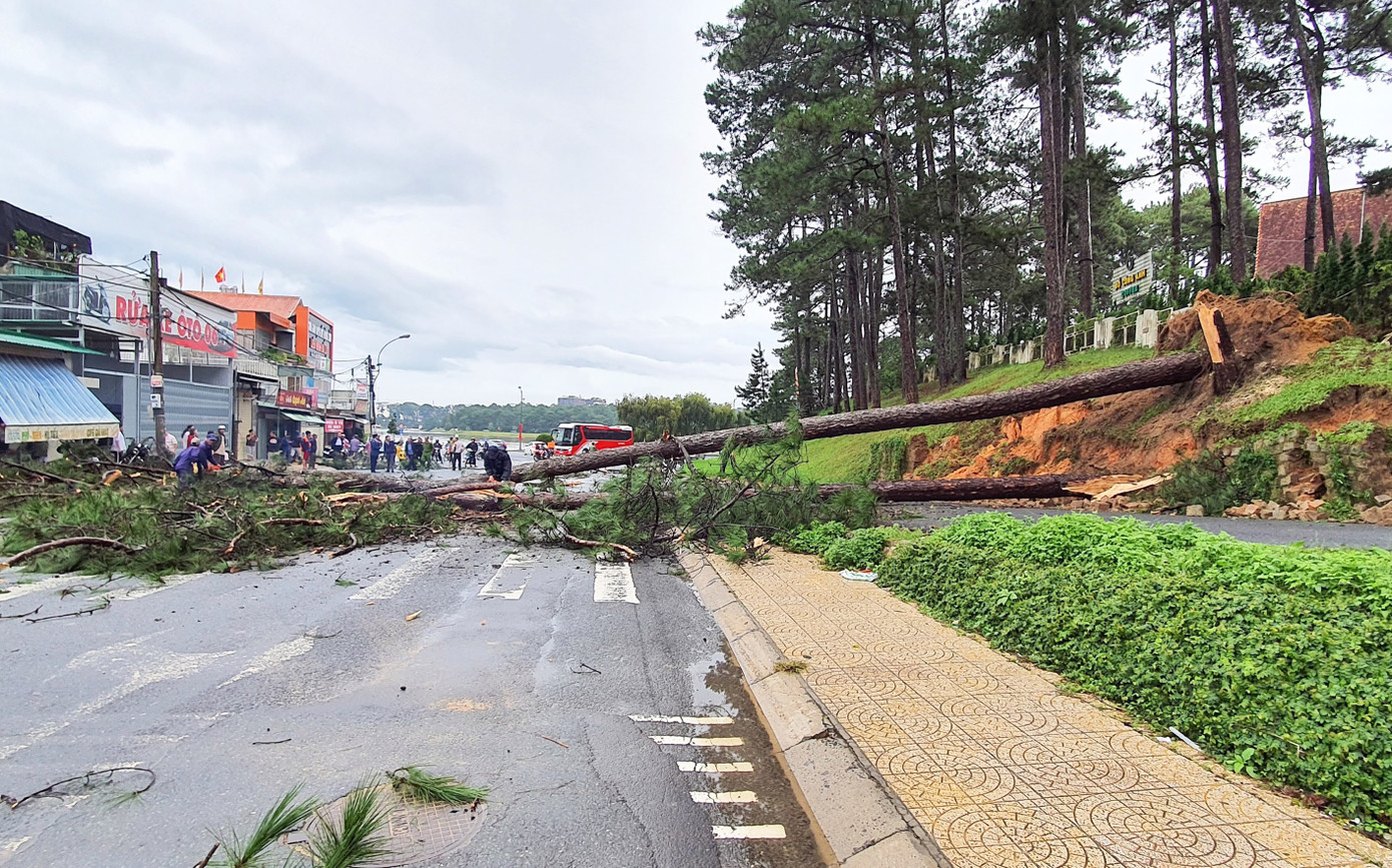 Đà Lạt mưa lớn tạo hố tử thần, sơ tán 30 du khách ảnh 2