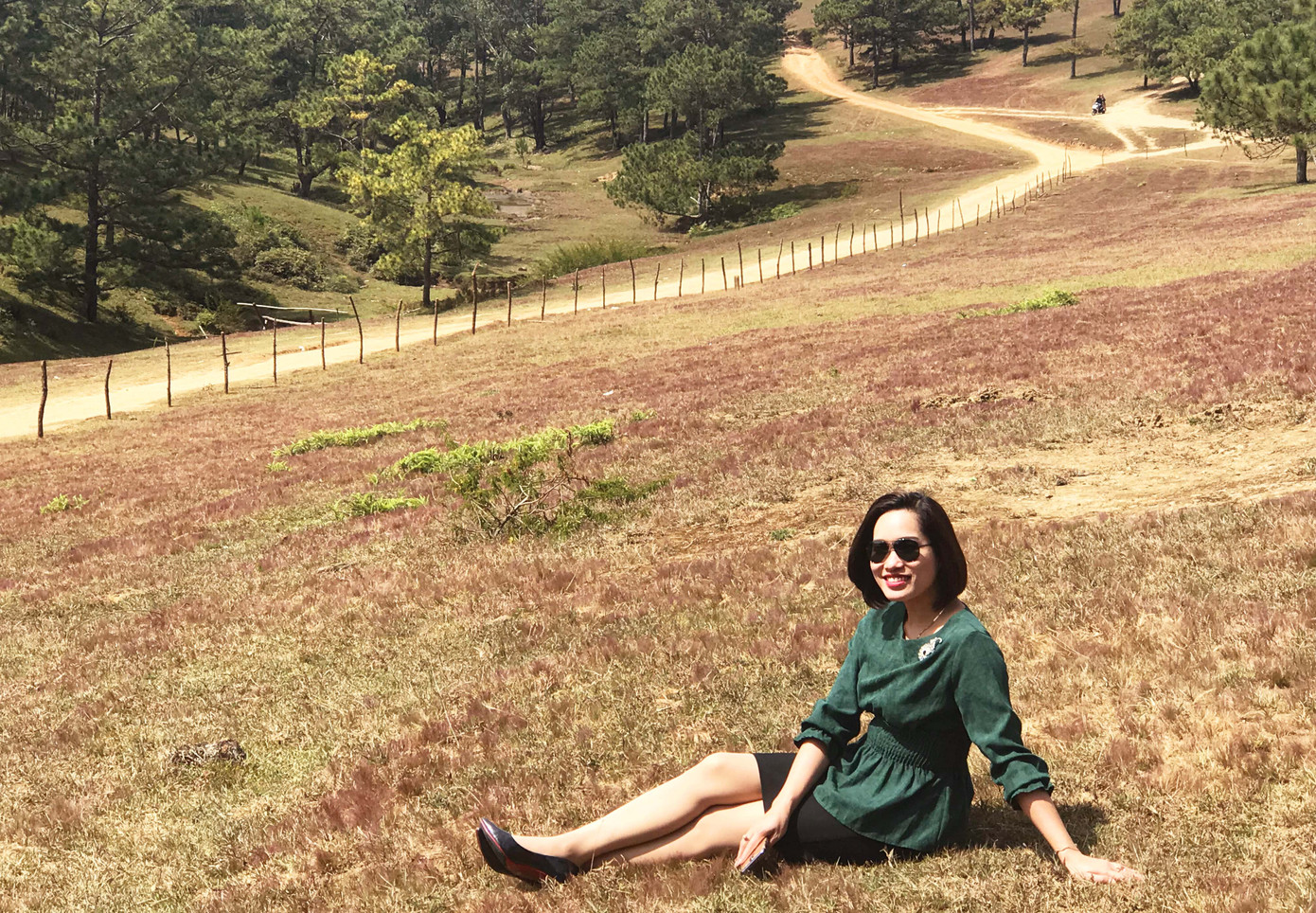 Đồi cỏ hồng Lâm Đồng khiến du khách mê mẩn ảnh 4