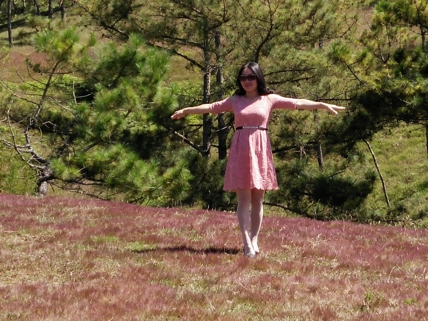 Đồi cỏ hồng Lâm Đồng khiến du khách mê mẩn ảnh 2