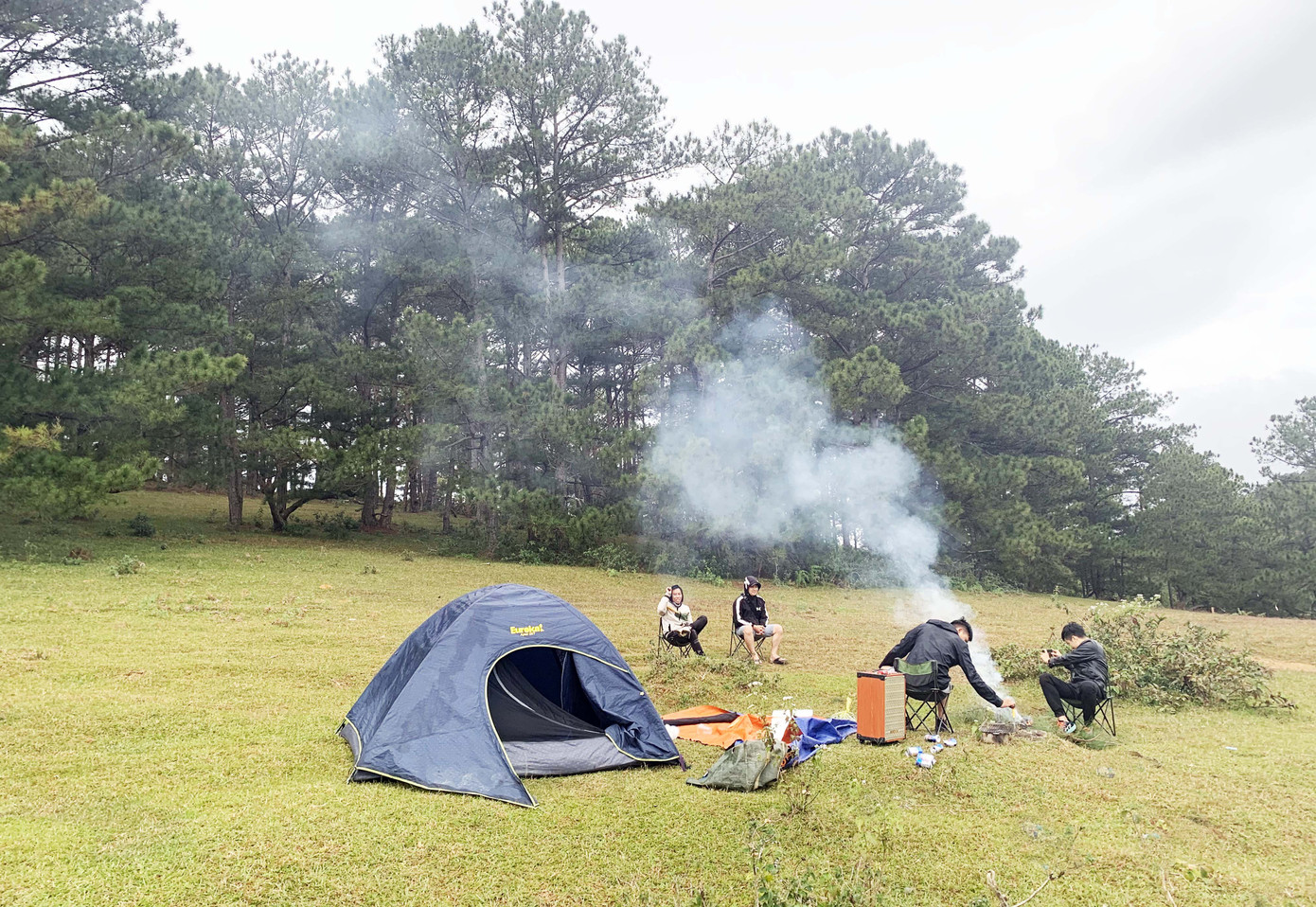 Đồi cỏ hồng Lâm Đồng khiến du khách mê mẩn ảnh 5