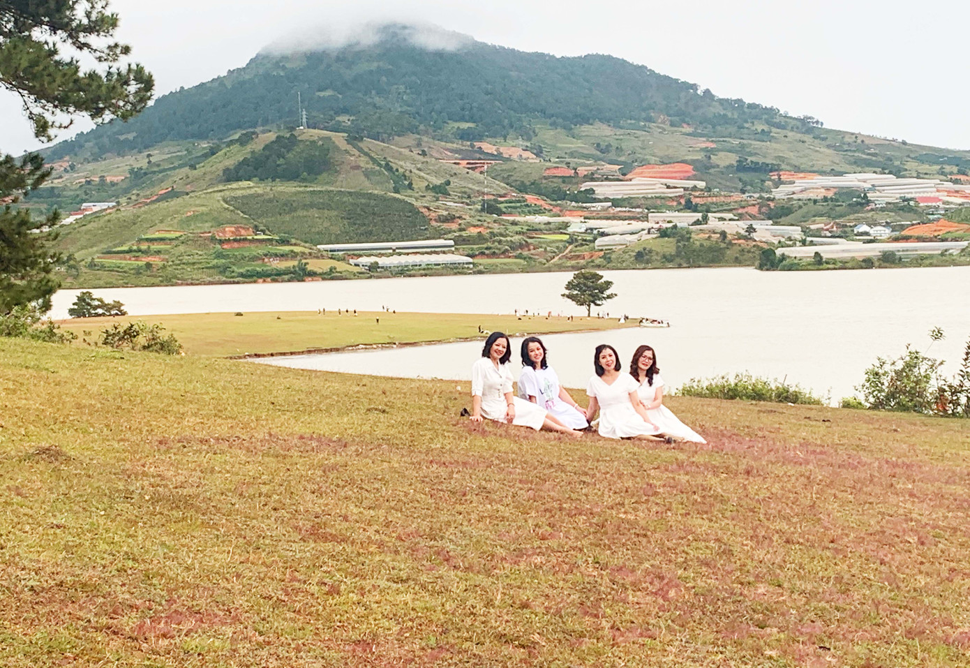 Đồi cỏ hồng Lâm Đồng khiến du khách mê mẩn ảnh 3