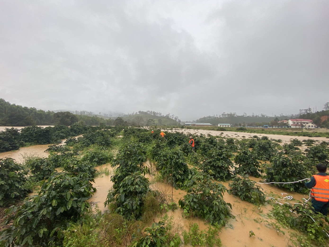 Tin mới nhất vụ cả trăm người tìm nhóm du khách bị lũ cuốn ở Lâm Đồng ảnh 3