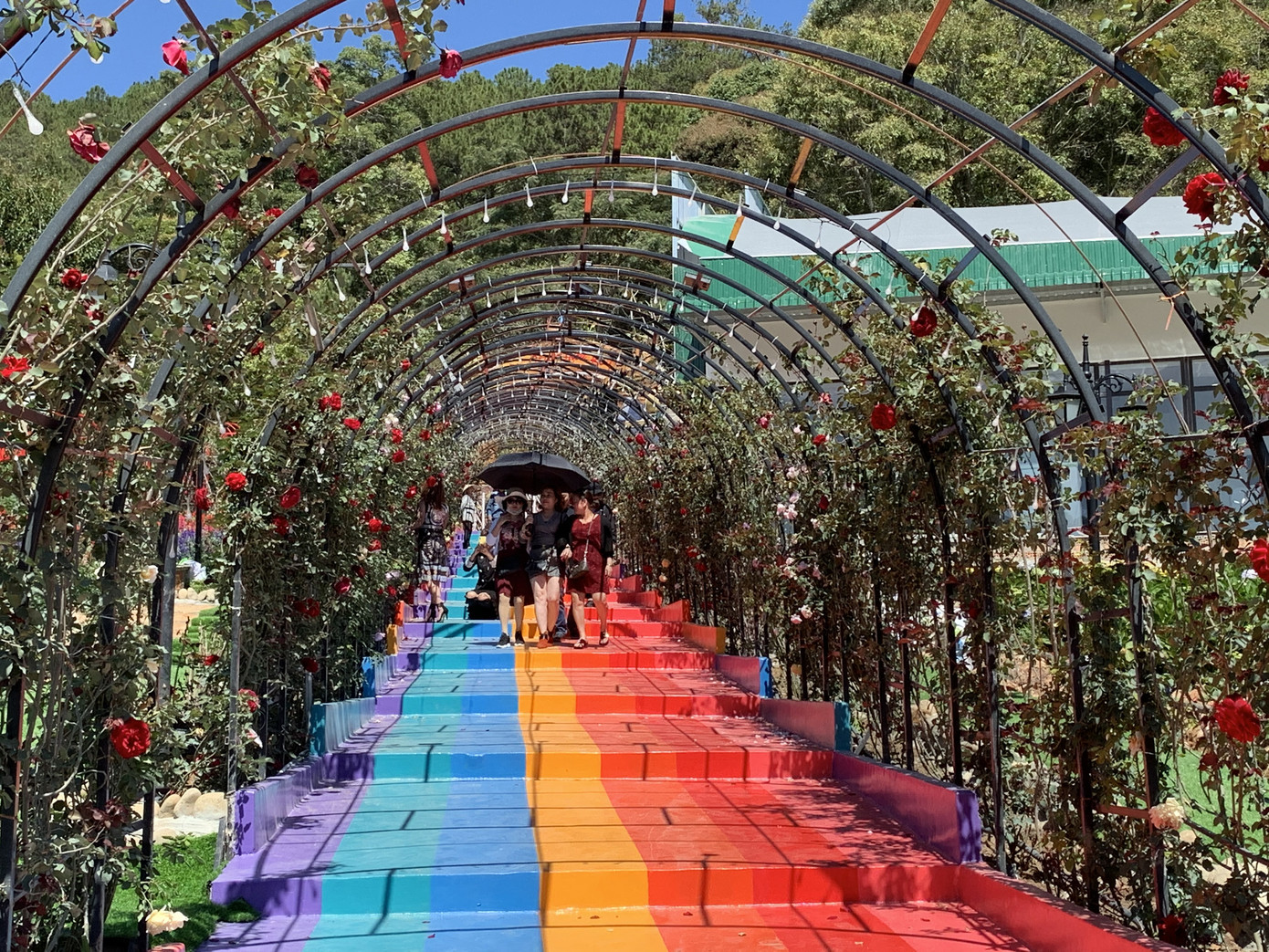 Phó Thủ tướng yêu cầu xử lý Vườn thượng uyển bay không phép ảnh 1