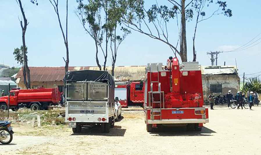 Trại ươm cây giống Đà Lạt bốc cháy ngùn ngụt cùng những tiếng nổ lớn ảnh 2