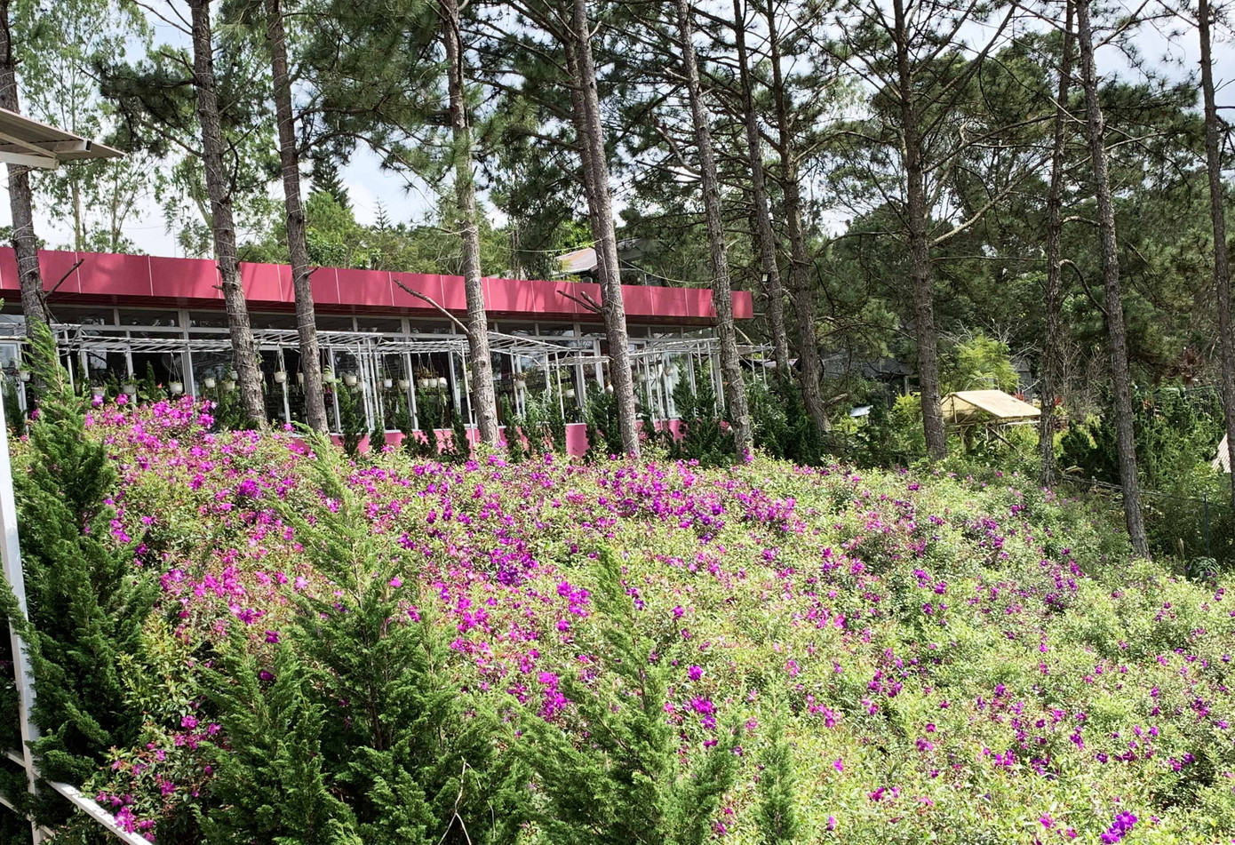 Ngó lơ công trình vi phạm 'Đỉnh Đồi Trăng', nhiều cán bộ bị kỷ luật ảnh 2